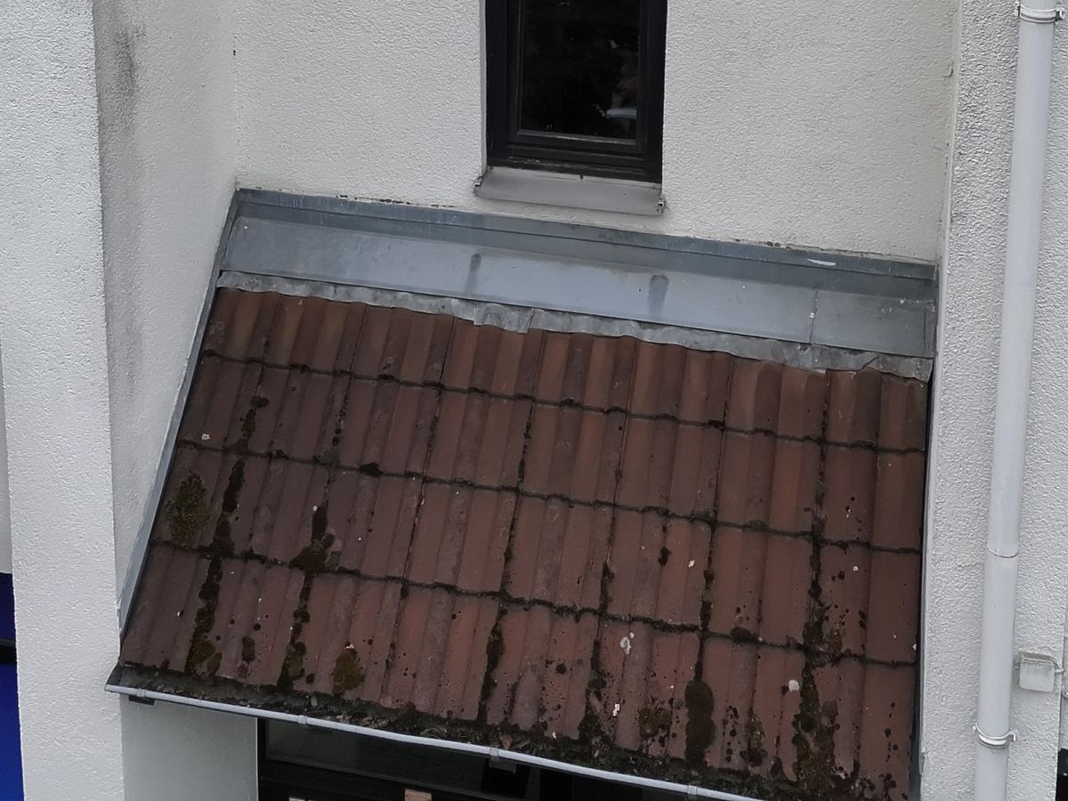 Kleines Vordach mit stark bemoosten Dachsteinen